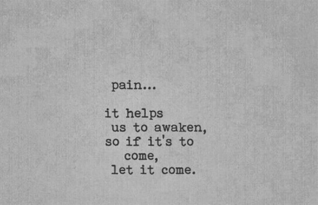 744_f40988a2-1a06-428e-a196-402d06ded687