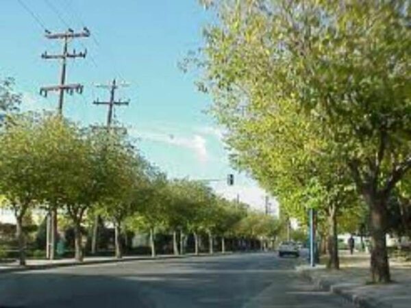Σύγχρονο Κωσταλέξι στη Λάρισα: Έτσι είναι σήμερα η γυναίκα που είχε να βγει από το σπίτι 42 χρόνια