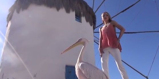 Ο Πέτρος ο πελεκάνος της Μυκόνου σε ρόλο… μοντέλου!