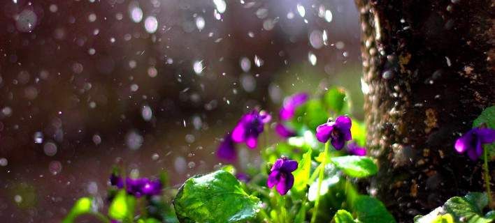 Γιατί η άνοιξη δεν ξεκινάει την 1η Μαρτίου