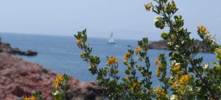 Καιρός σήμερα: «Καλοκαιρινές» θερμοκρασίες με λίγα σύννεφα, αναλυτική πρόγνωση
