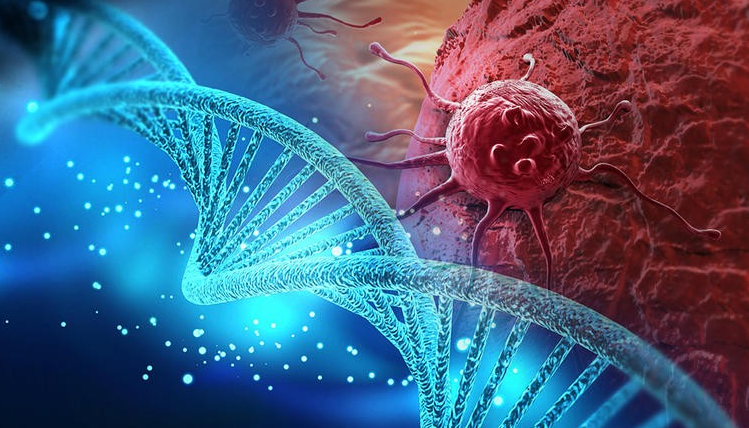 PET/CT: πώς η σύγχρονη μοριακή απεικόνιση συμβάλλει στην έγκαιρη διάγνωση και παρακολούθηση του καρκίνου