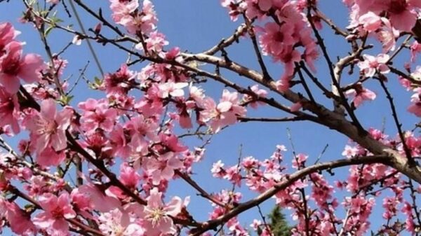 Καιρός: Μικρό καλοκαιράκι έως την Τρίτη με υψηλές θερμοκρασίες – Σε ποια περιοχή θα φτάσει σήμερα τους 28 βαθμούς