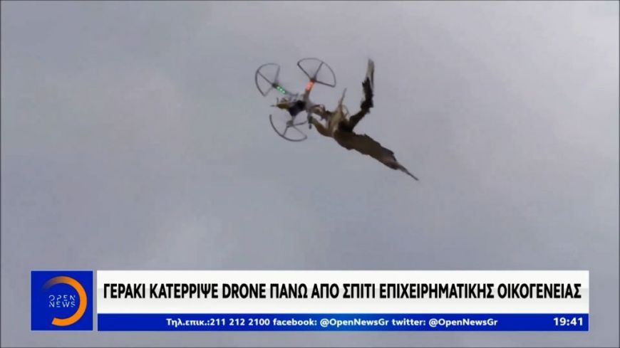 Drone Hunter: Το γεράκι, Ζήνα, κατέρριψε drone πάνω από σπίτι επιχειρηματικής οικογένειας – Τι δηλώνει ο εκπαιδευτής