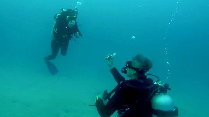 Η πιο πρωτότυπη πρόταση γάμου που έχεις δει ποτέ!