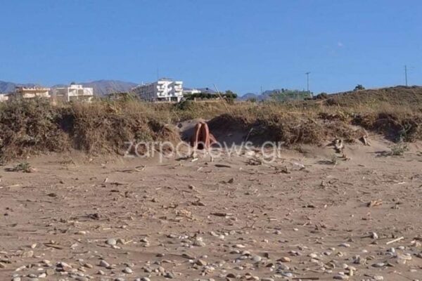 Απίστευτο περιστατικό σεξουαλικής παρενόχλησης σε παραλία των Χανίων ( Video)