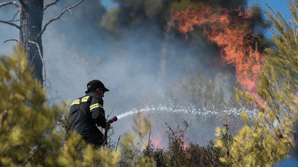 Φωτιά στη Φέριζα Καλυβίων κοντά σε σπίτια