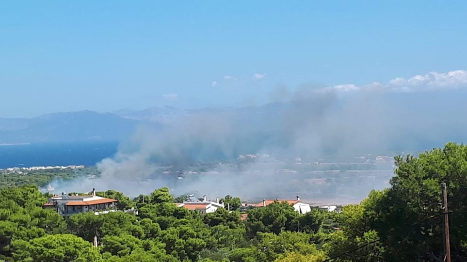 Φωτιά στην Αρτέμιδα – Μεγάλη κινητοποίηση της Πυροσβεστικής