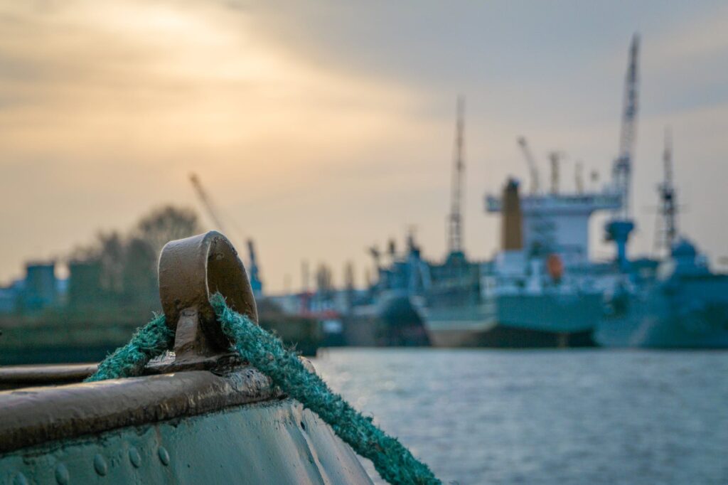 Συναγερμός! Κρούσμα κορονοϊού σε Γαλλίδα που επιβαίνει στο πλοίο “Blue Star Delos”