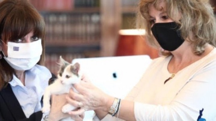 H Κατερίνα Σακελλαροπούλου υιοθέτησε ένα αδέσποτο γατάκι από την Κάρπαθο