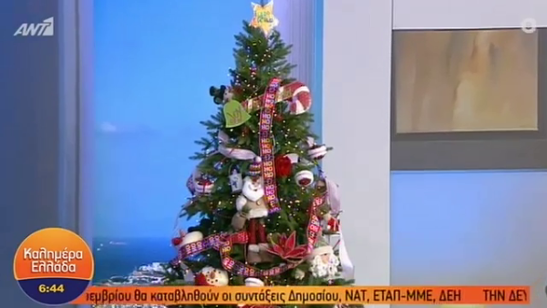 Ο Νίκος Μουτσινάς έστειλε δέντρο στο Καλημέρα Ελλάδα! Η αντίδραση του Γιώργου Παπαδάκη