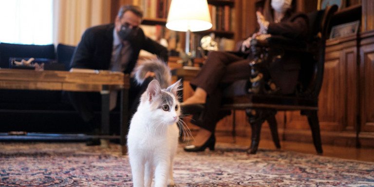 «Δεν ξέρεις την Καλυψώ;»: Η απάντηση της Σακελλαροπούλου στον Μητσοτάκη όταν άκουσε μια… γάτα να νιαουρίζει στο Προεδρικό (Photos)
