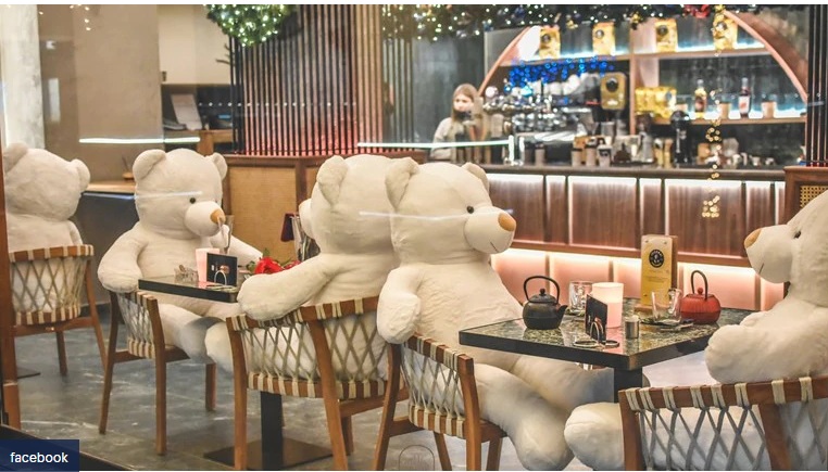 Καφέ στην Καρδίτσα με πελάτες υπέροχους… λευκούς αρκούδους – Στόλισε για τα Χριστούγεννα