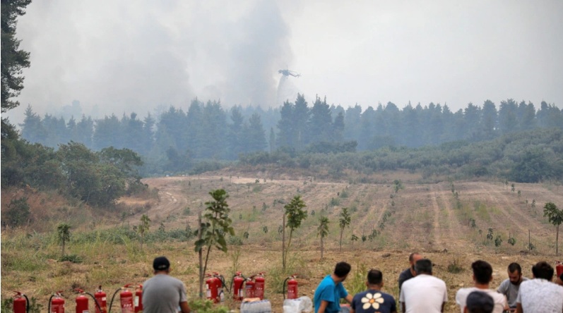 Όγδοη μέρα μάχης με τις φλόγες στην Εύβοια: Συνεχείς οι αναζωπυρώσεις – Ανθρώπινο «τείχος» από τους κατοίκους για να σώσουν τα σπίτια τους