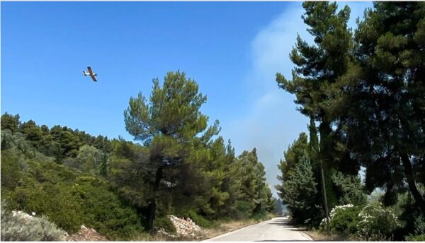 Ελεύθερος με όρους ο 14χρονος που κατηγορείται για εννέα εμπρησμούς στον Θεολόγο