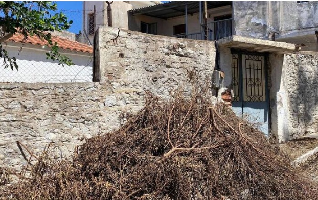 Κυπαρισσία: Συγκλονίζει ο γιος της Μόνικα – «Ήταν άρρωστη και την έδερνε»