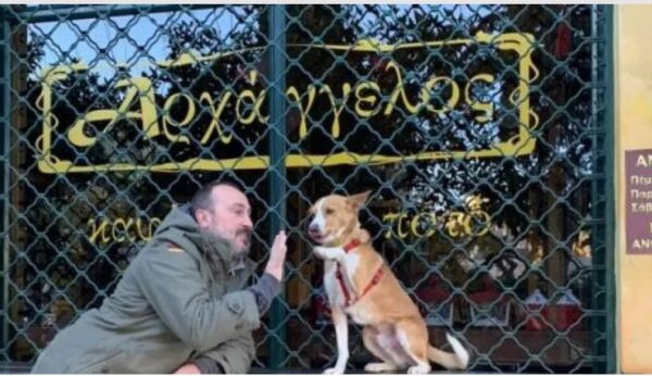 Σωτήρης Λαφαζάνης: Πέθανε ο ιδιοκτήτης του θρυλικού μπαρ «Αρχάγγελος»