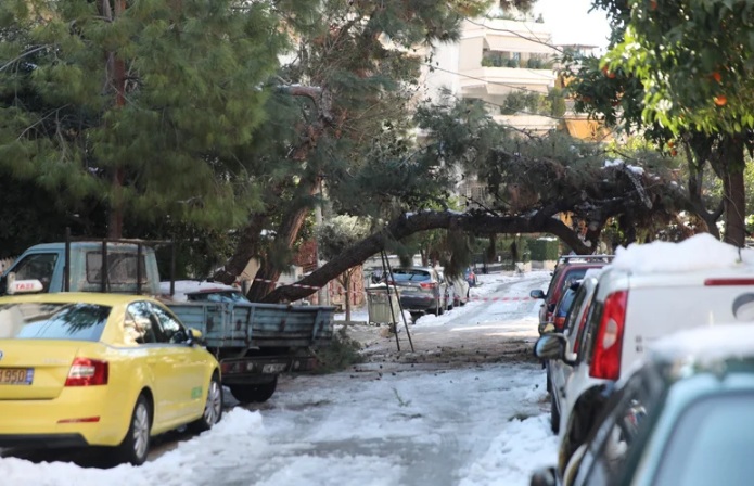 Δήμος Αθηναίων: Αποζημίωση για αυτοκίνητα που υπέστησαν ζημιές από πτώσεις δέντρων