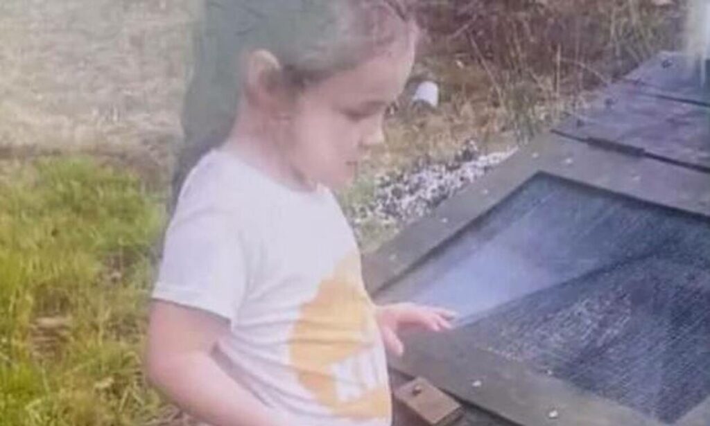 Θρίλερ για την τύχη 4χρονου κοριτσιού που εξαφανίστηκε από την αυλή του σπιτιού του