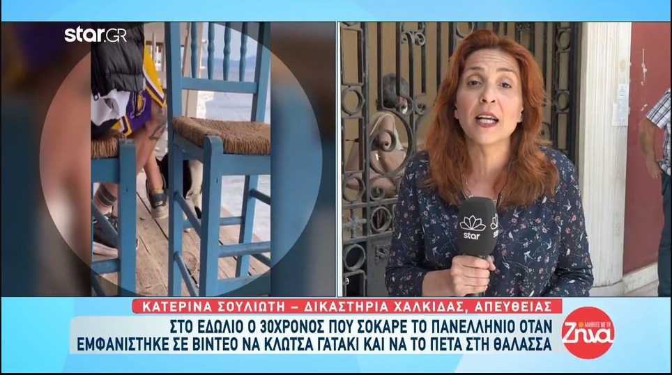 Αιδηψός: Στο εδώλιο σήμερα ο 30χρονος που κλώτσησε το γατάκι
