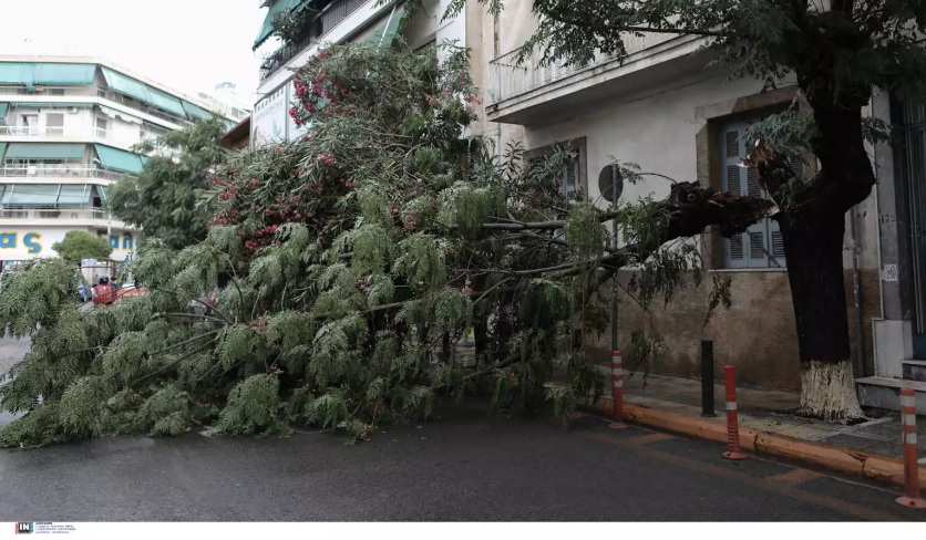 Καιρός: Πτώσεις δέντρων και προβλήματα στην Αττική, αγνοείται άνδρας στην Εύβοια