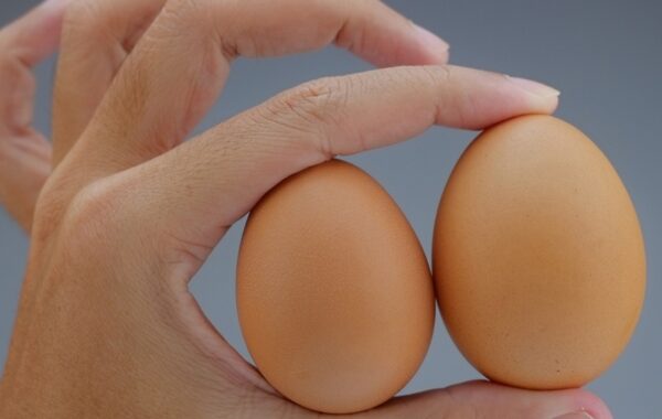 Όρχεις: Συχνότερες παθήσεις και αντιμετώπιση