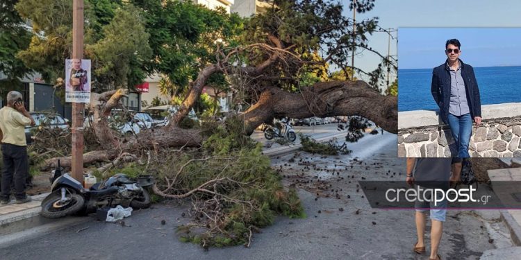 Θάνατος από πτώση δέντρου: Ξεσπά η χήρα για τον αδόκητο χαμό του Παναγιώτη