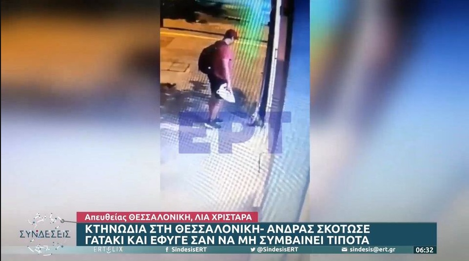 Θεσσαλονίκη: Άνδρας τσαλαπάτησε και σκότωσε γατάκι – Βίντεο -ντοκουμέντο