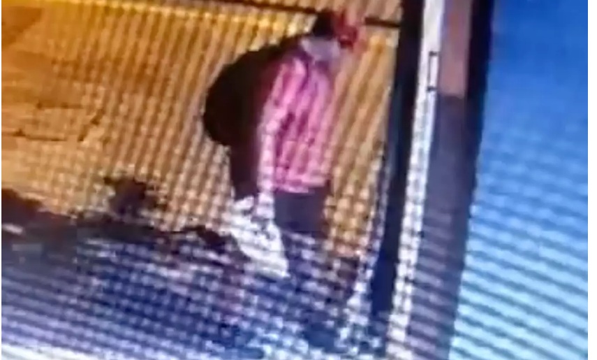 Θεσσαλονίκη: Οργή για τον άνθρωπο που σκότωσε γατάκι – Πληροφορίες ότι έχει εντοπιστεί