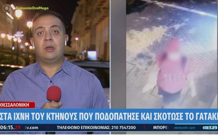 Θεσσαλονίκη: Πολύ κοντά στον εντοπισμό του άντρα που σκότωσε το γατάκι είναι οι Αρχές