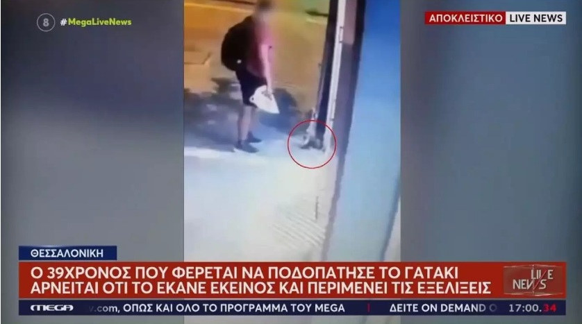Θεσσαλονίκη: «Δεν το έκανα εγώ» υποστηρίζει ο 40χρονος που φέρεται να σκότωσε γατάκι