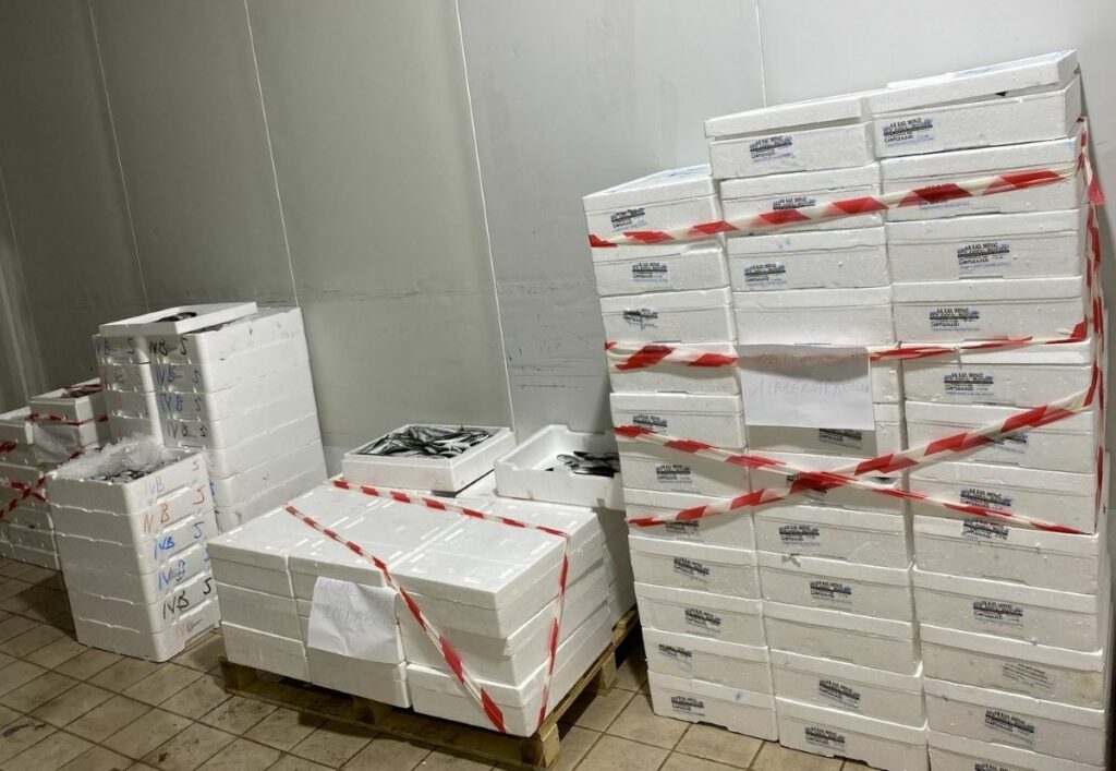 Το “κόλπο γκρόσο” με τα ψάρια στην ιχθυόσκαλα Νέα Μηχανιώνας – Κατασχέθηκαν 621 κιλά αλιευμάτων