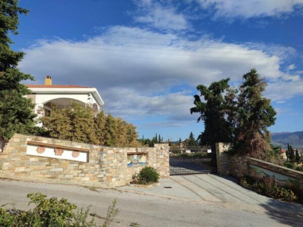 Κιβωτός του Κόσμου: Εννέα έλεγχοι σε 4 χρόνια στη δομή του Βόλου