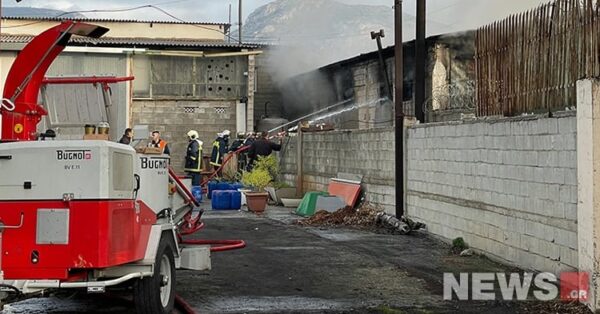 Πυροβολισμοί σε 16χρονο Ρομά: Νύχτα έντασης σε Δυτ. Αττική και άλλες πόλεις – Συνεχίζει να καίει η φωτιά στον Ασπρόπυργο