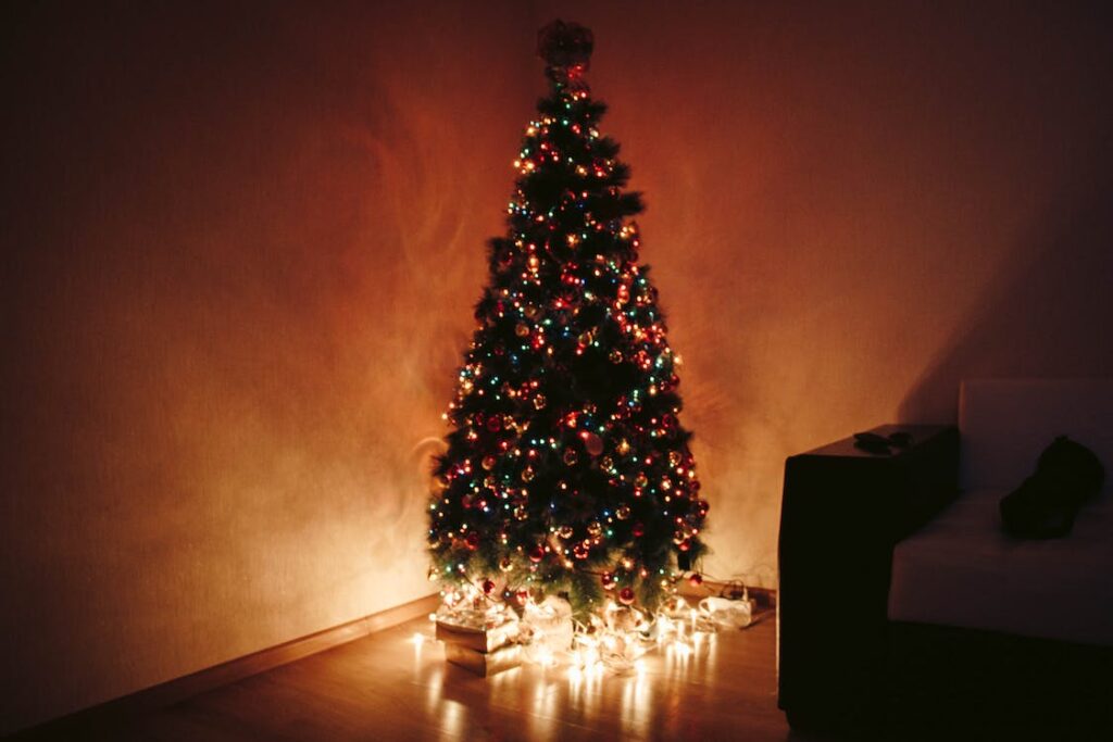 Τι αποκαλύπτει το χριστουγεννιάτικο δέντρο για τον χαρακτήρα σας – Οι ειδικοί εξηγούν