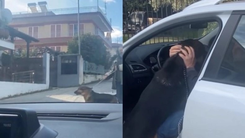 Απίστευτο βίντεο: Θεσσαλονικιός βρήκε τον σκύλο του, που είχε χαθεί το 2017 και το ζώο «τρελάθηκε» όταν τον είδε (vid)