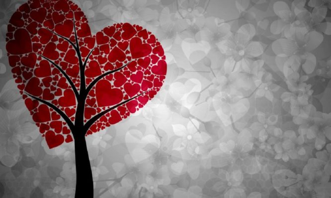 Οι λόγοι που οι άνθρωποι αγαπιώνται μεταξύ τους