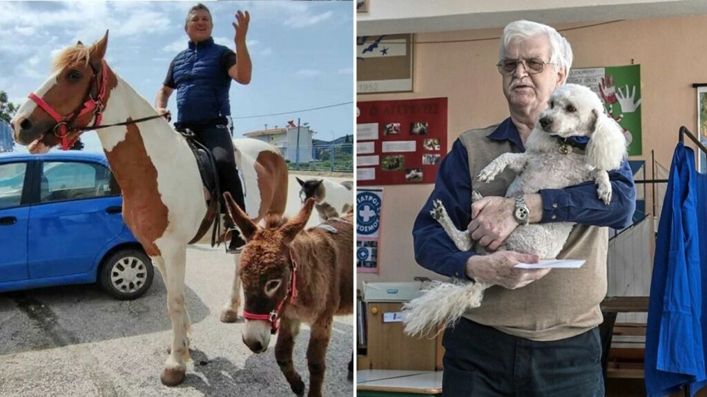 Εκλογές 2023: Ευτράπελα και απρόοπτα – Ο αγρότης με το άλογο, ο σκύλος και οι νεόνυμφοι- Αστεία αλλά και απρόσμενα περιστατικά που έκλεψαν την παράσταση