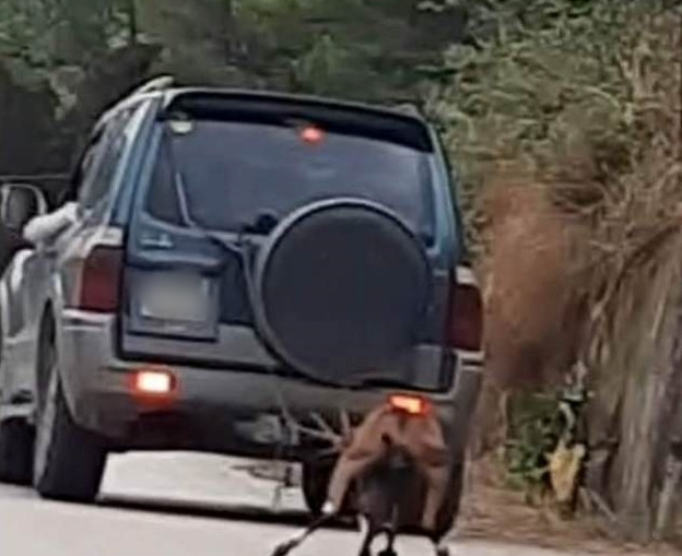 Νέα κακοποίηση ζώου στη Ζάκυνθο- Έσερνε με το αυτοκίνητό του την κατσίκα του
