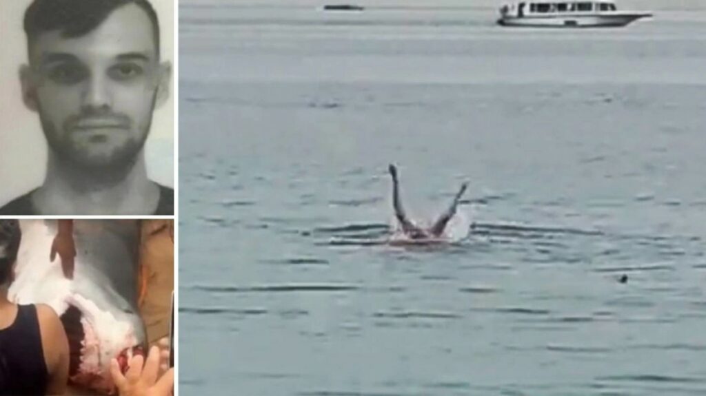 Σοκαριστικό βίντεο: 23χρονος δέχεται επίθεση από καρχαρία-τίγρη και βρίσκει φρικτό θάνατο
