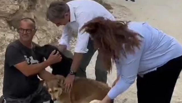 Το TikTok του Μητσοτάκη μετά την επίσκεψή του στο καταφύγιο ζώων στην Ιεράπετρα – «Ο Πίνατ εγκρίνει!»