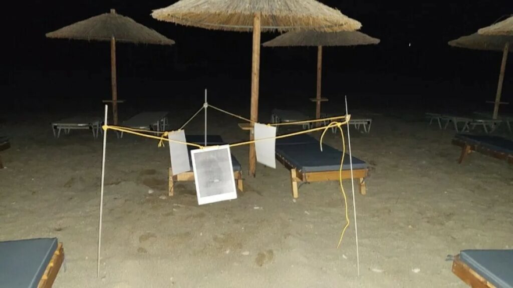 Θλιβερο! Θαλάσσια χελώνα έψαχνε 5 ώρες ανάμεσα σε ξαπλώστρες για να γεννήσει τα αυγά της