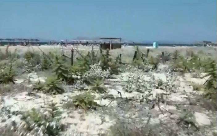 Σοκαριστική μαρτυρία για τη δολοφονία στην Κω: «Είναι επικίνδυνος και κυκλοφορεί ελεύθερος»