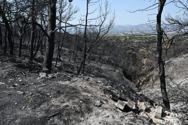 Στους έξι οι νεκροί από τις πυρκαγιές στη χώρα μας