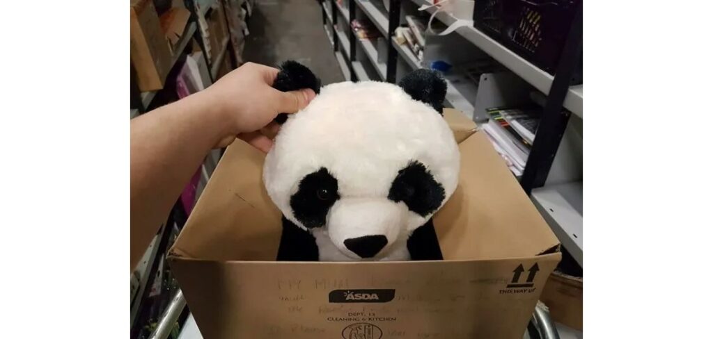 Πήλιο: Δίνουν αμοιβή σε όποιον βρει ένα λούτρινο Panda- Η έκκληση του μικρού που το έχασε