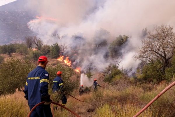 “Γιατί τον κατήγγειλα”: Τι λέει η μητέρα του 17χρονου που συνελήφθη για εμπρησμό στα Ψαχνά