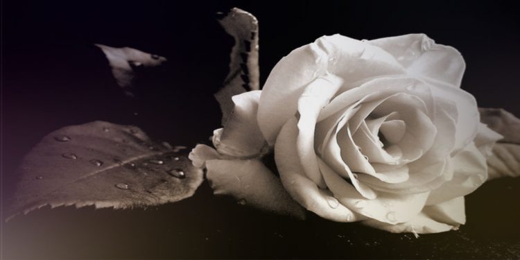 Αποχαιρέτησαν τον 22χρονο Αντώνη – Ράγισε καρδιές η ανάρτηση της μητέρας του