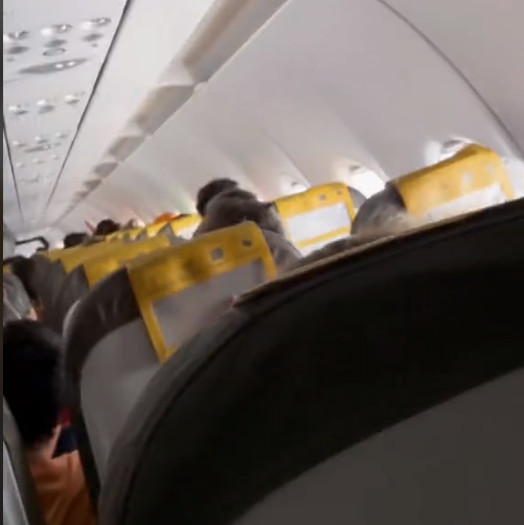 Πιλότος αποκάλυψε ένα απίστευτο κόλπο για να ξεπεράσει κάποιος τον φόβο των αναταράξεων στο αεροπλάνο