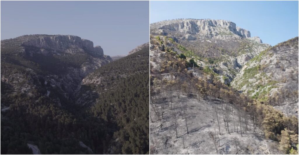 Αποκαρδιωτικές εικόνες από το πριν και το μετά στη Φυλή- Το πέρασμα της φωτιάς κατέστρεψε τα πάντα