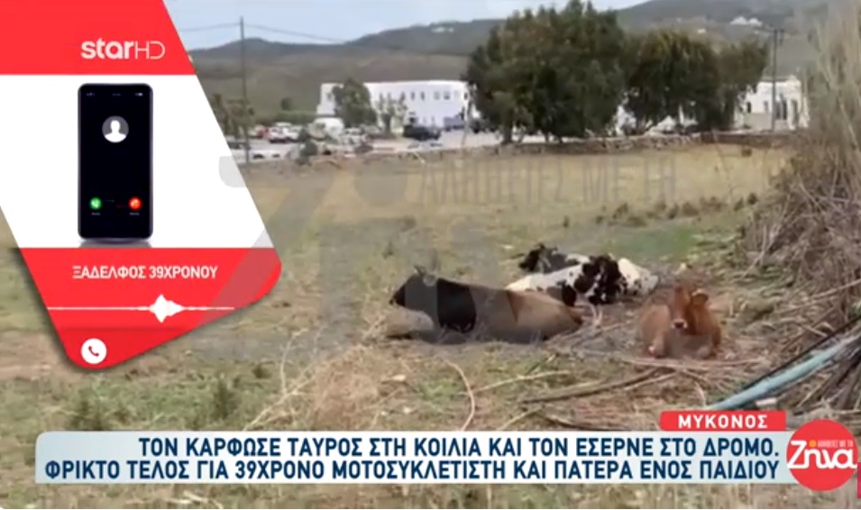 Φρικτό τέλος για 39χρονο στη Μύκονο-Τον κάρφωσε ταύρος στην κοιλιά και τον έσερνε στο δρόμο: Έτρεχε πολύ αίμα και γι’ αυτό δεν άντεξε…